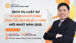 LUẬT SƯ TƯ VẤN VÀ TỐ TỤNG VỀ CHIA TÀI SẢN SAU LY HÔN