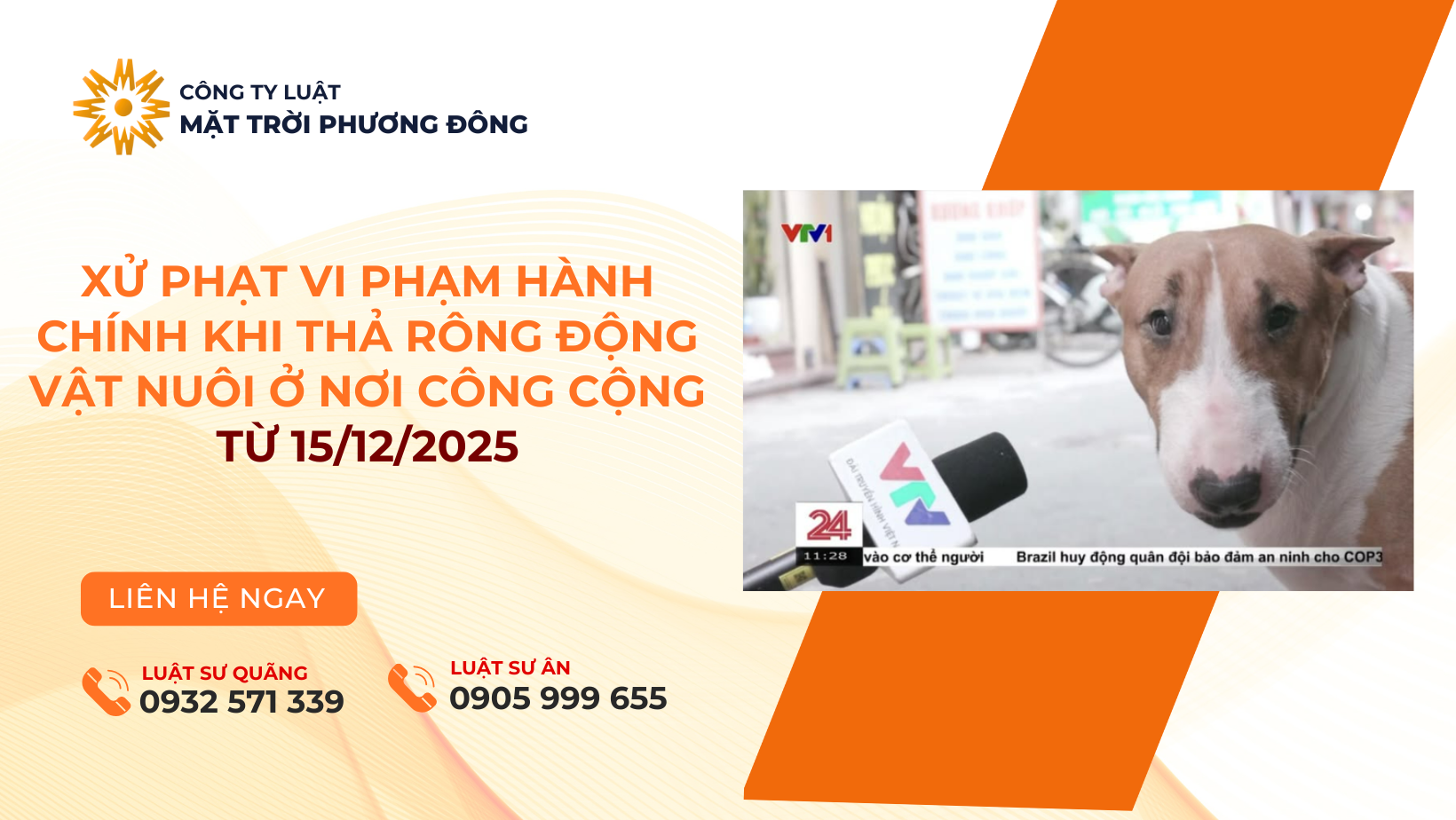 XỬ PHẠT VI PHẠM HÀNH CHÍNH KHI THẢ RÔNG ĐỘNG VẬT NUÔI Ở NƠI CÔNG CỘNG TỪ 15/12/2025