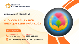 Nuôi con sau ly hôn theo quy định pháp luật - Những vấn đề cần biết